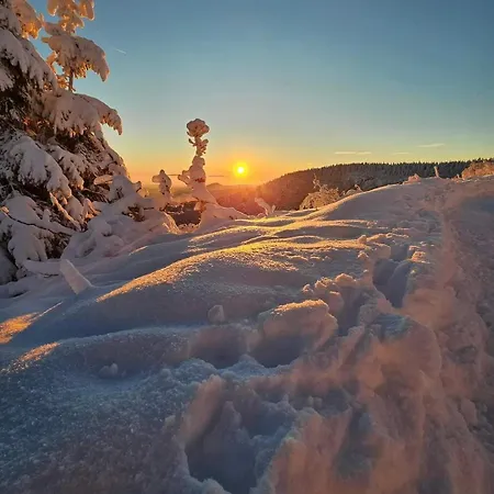 Vignes & Tropiques - Terrasse - Wifi - Clim - Parking *