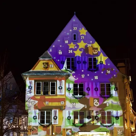 Vignes & Tropiques - Terrasse - Wifi - Clim - Parking * Bennwihr