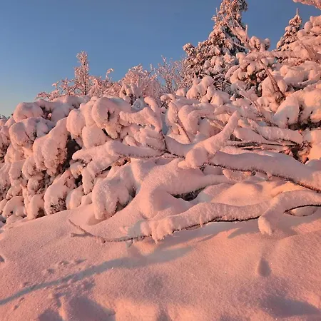 Vignes & Tropiques - Terrasse - Wifi - Clim - Parking Apartamento Bennwihr