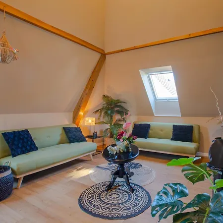 Vignes & Tropiques - Terrasse - Wifi - Clim - Parking * Bennwihr