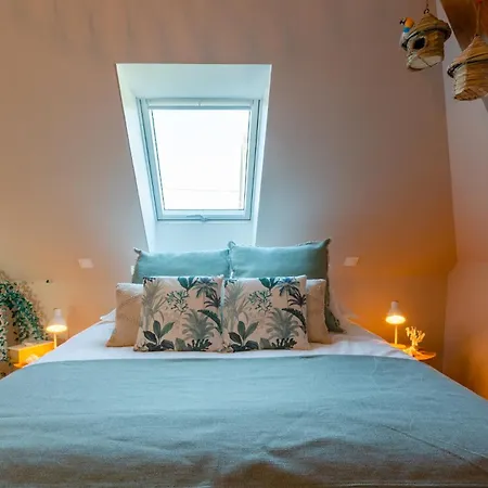 Vignes & Tropiques - Terrasse - Wifi - Clim - Parking