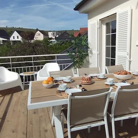 Appartamento Vignes & Tropiques - Terrasse - Wifi - Clim - Parking Bennwihr